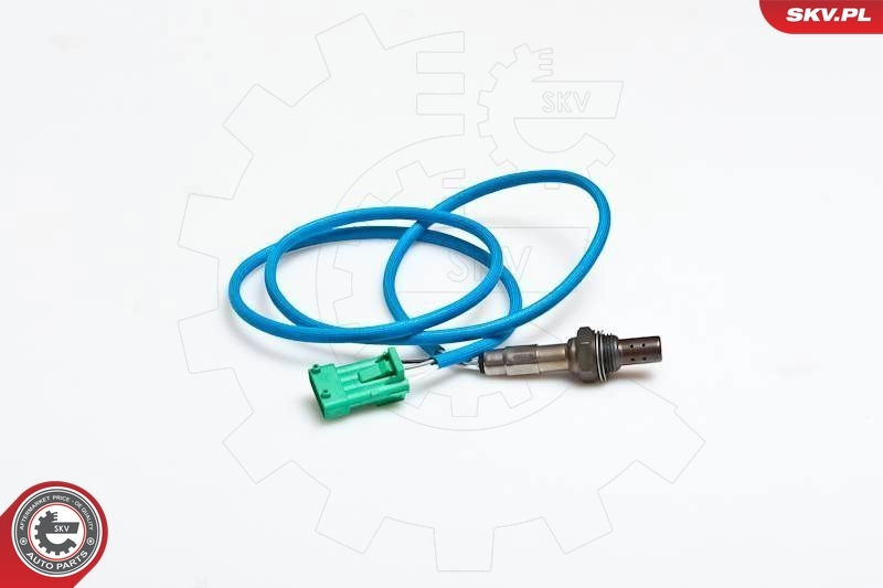 Oxygen Sensor